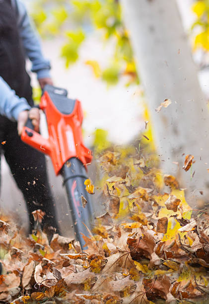 istock Person using a leaf blower to clear the leaves 2248671929