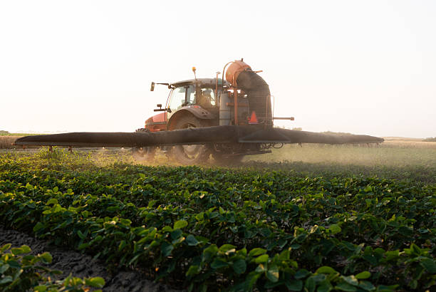 istock Tractor spraying crops in a lush green field at sunset. 2248672672
