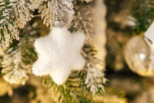 A white star ornament is delicately hung on a Christmas tree.