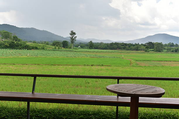 View of farm in Thailand.