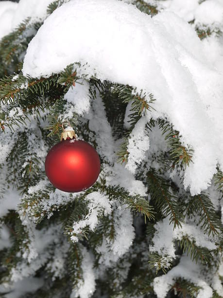 istock Red ornament hangs from a tree branch covered in snow 2248676511