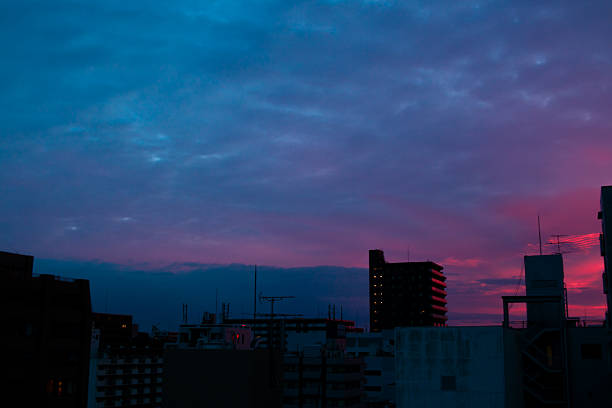 Wide shot from a high window  of Yoyogi Park and Shibuya City at twilight on a cold Winter evening in Tokyo, Japan. This still image is part of a series taken at different times of day from the same location; a time lapse is also available.