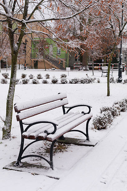 istock Snowy bench under tree. A bench covered with snow stands beneath leafless tree in quiet park. Concept of winter solitude, calm landscape, and seasonal outdoor background. 2248679865