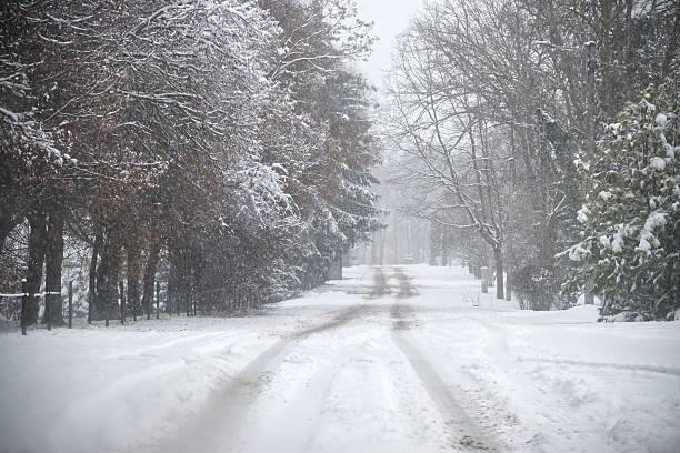 istock Snowy Street in a Quiet Winter Morning with Snow-Covered Trees and Bare Path 2248683471