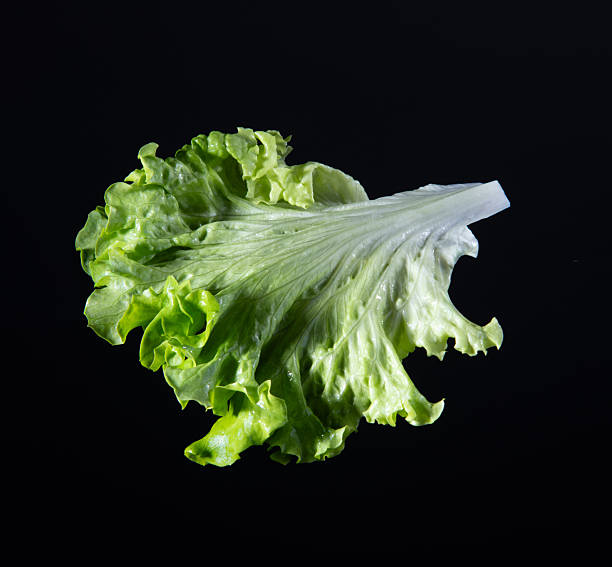 istock vegan burger ingredients isolated on black background 2248683791