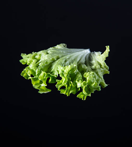 istock vegan burger ingredients isolated on black background 2248683792