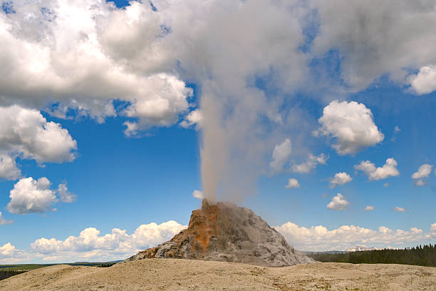 White Dome Geyser erupting in Yellowstone National Park