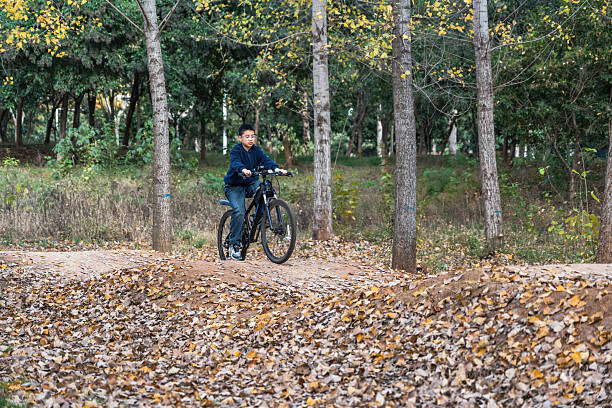 istock A person riding a bicycle in a forest with fallen leaves 2248685164