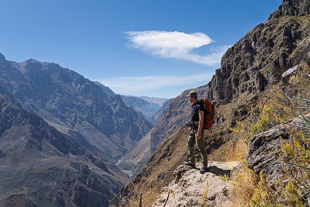 Side view of a male hiker standing on a narrow, rocky trail overlooking the deep, vast Colca Canyon. The rugged, arid mountains stretch into the distance in Peru under a blue sky.