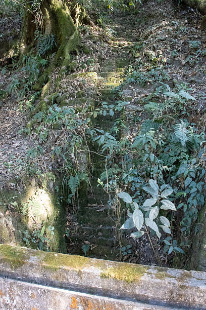 istock old overgrown man made water channel through the forest with texture, sunlight and shadow in Darjeeling, India 2248687824