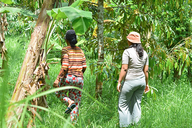 istock Two Women Taking a Turn in a Bright, Overgrown Agroforestry Field 2248689763