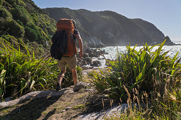Male tourist on the background of beautiful rocks and the sea. Hiking concept. Tobizin cape. Vladivostok, island Russky. Sea of Japan. Primorye. Primorsky krai. Nature of Russia. Tourism and travel in Russia.