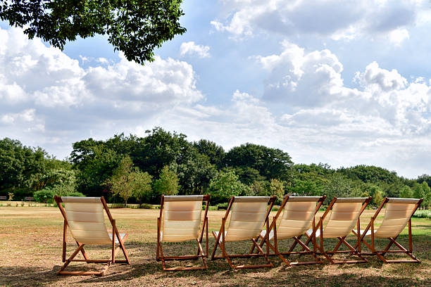 Six folding deck chairs with wooden frames and canvas seats face a grassy field in a park. A mix of deciduous trees borders the area, under a sky filled with fluffy clouds. The positioning shows a relaxing outdoor space, inviting people to sit and enjoy the natural surroundings. The chairs are evenly spaced on dry grass, and a tree branch partially shades them, adding to the tranquil, leisurely setting.