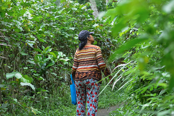 istock Woman Walking Alone Looking Up at Farm Trees Along Narrow Path 2248692063