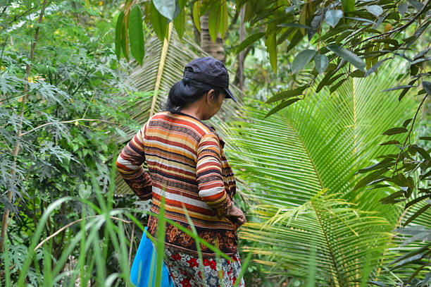 istock Woman Walking Down Path Surrounded by Large Tropical Palm Fronds 2248692090