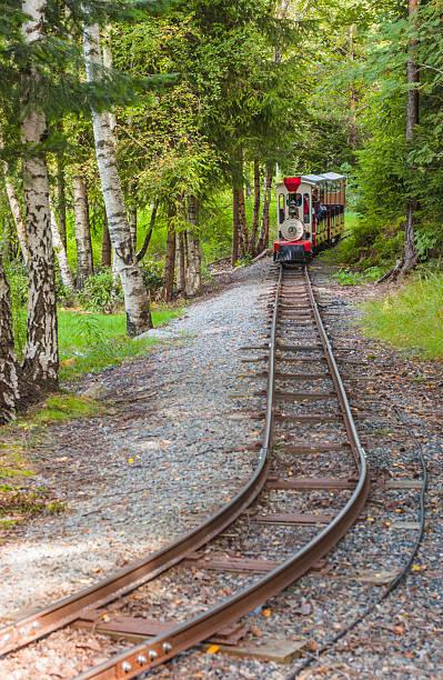 istock Small tourist train moving through forested park track.. 2248693303