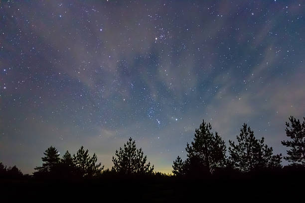 istock Orion constellation on the night starry sky above forest silhouette 2248693870