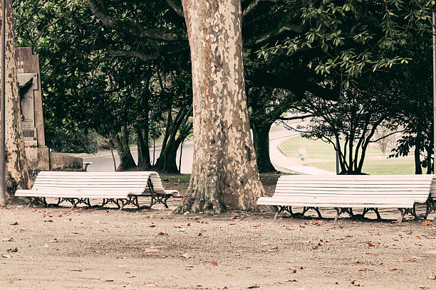 istock Enchanted Galicia, Park Molin de Canton 2248698596