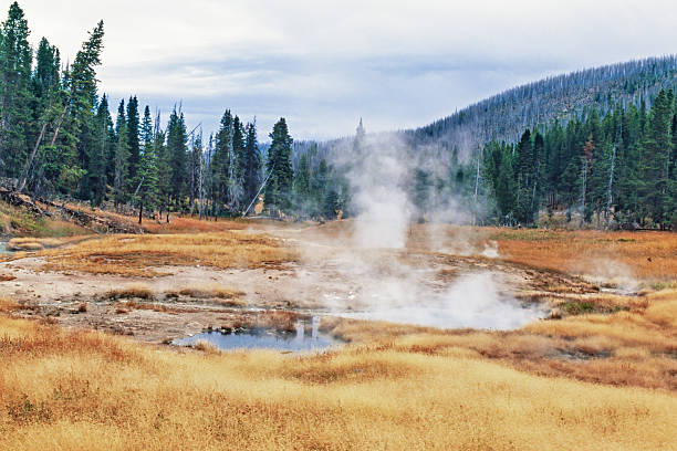 Hot spring with steam in valley at a forest landscape