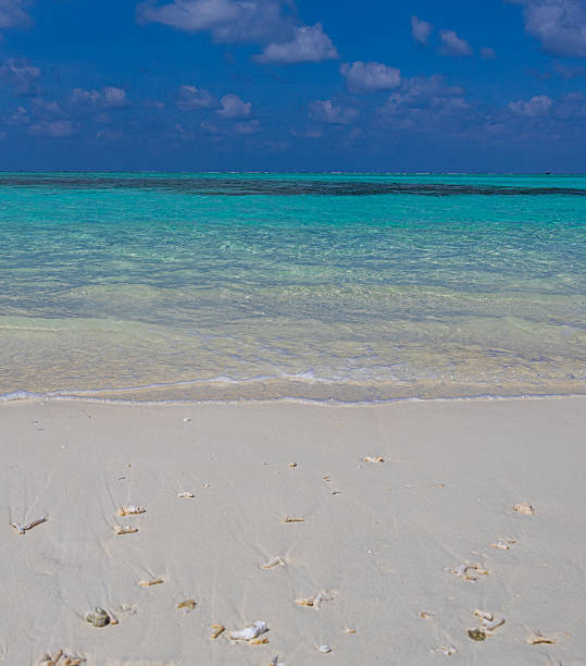 istock Amazing Indian ocean white sand beach in Maldives 2248702122
