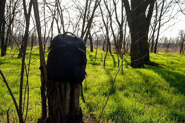 hiking bag for travel is located on old wooden log among bright grass and trees illuminated by sun rays in nature during adventure trip
