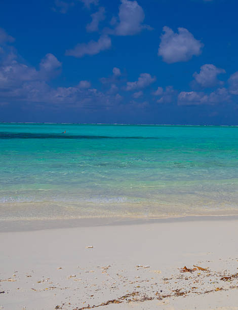 istock Amazing Indian ocean white sand beach in Maldives 2248702228