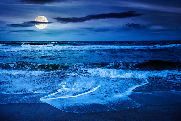 istock black sea waves crashing sandy beach at night 2248703470