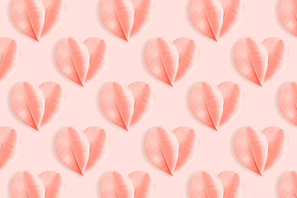istock Minimalist pastel composition featuring delicate pink feathers arranged as heart shapes on soft rose background. Concept of love, tenderness, and romance, holiday greetings for Valentine Day, wedding. 2248707277