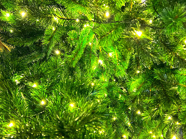 istock Close-up of vibrant blurred green Christmas tree branches adorned with warm, sparkling string lights, creating a soft bokeh effect. Festive holiday background. 2248707366