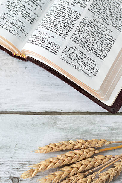istock Holy bible book with wheat on wooden background 2248707511
