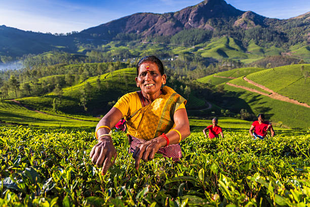 istock Tea Harvester's Morning Smile — Munnar, India 2248708942
