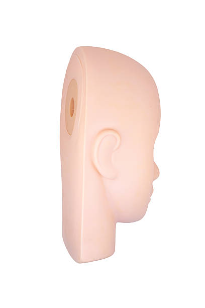 Professional mannequin head made of soft, skin-like material, perfect for practicing eyelash extensions, makeup techniques, or beauty training. Durable, easy to clean, and suitable for both beginners and advanced stylists. Fits most training stands.