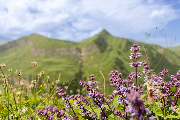 istock Laza Falls, Qusar, Azerbaijan. Unbelievable nature park. 2248711456