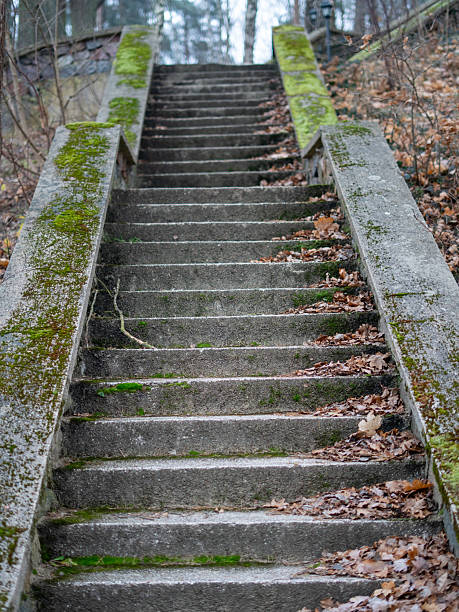 istock Old Weathered Concrete Staircase Covered in Moss and Fallen Leaves Leading Up Through a Forested Hillside, Creating a Rustic and Atmospheric Outdoor Scene 2248712503