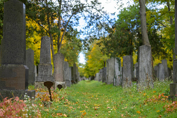 Vienna, Austria - October 25, 2025: Jewish graves at Central Cemetery with autumn foliage on cloudy day