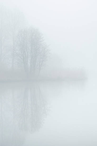 istock A beautiful foggy landscape with bare trees reflecting in a calm lake surface. 2248723018