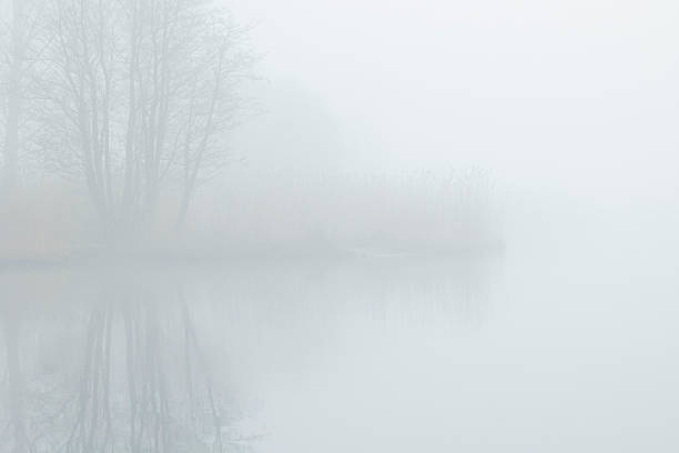 A beautiful foggy landscape with bare trees reflecting in a calm lake surface. Early spring scenery in Latvia, Europe.