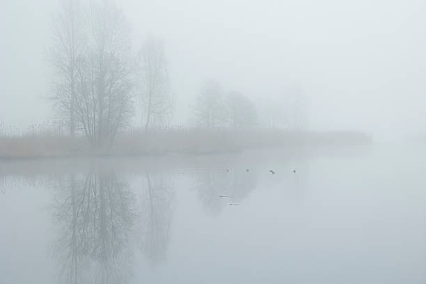 istock A beautiful foggy landscape with bare trees reflecting in a calm lake surface. 2248723034
