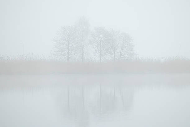 Winter's landscape with a beautiful view of a lake.