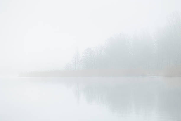 istock A beautiful foggy landscape with bare trees reflecting in a calm lake surface. 2248723110