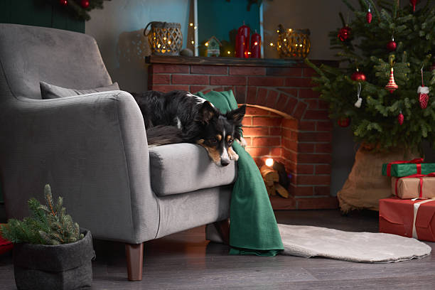 istock Cozy chair scene with fireplace and dog 2248725597