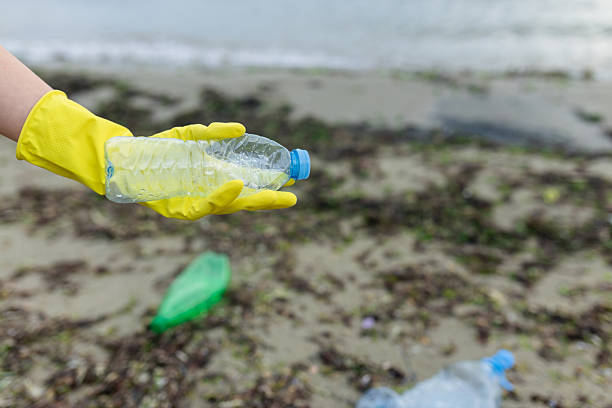 istock volunteer collecting plastic bottles on a 2248727028