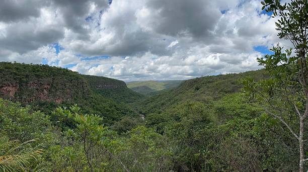istock Panoramic Green Valley in Chapada Diamantina, Bahia, Brazil 2248727164