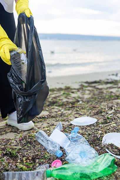 istock Volunteer collecting plastic waste during beach 2248727277