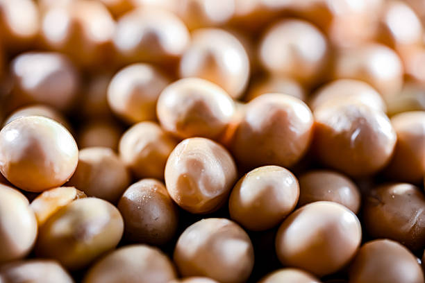 Close-up of soya beans.