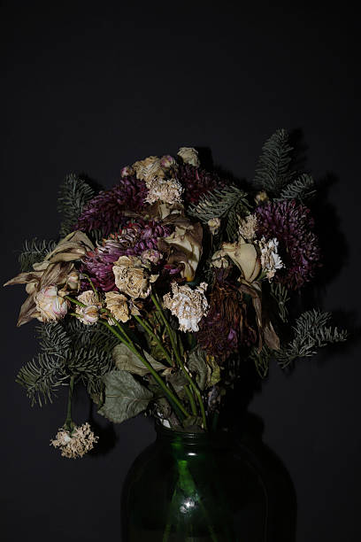 istock dried flowers on a dark background 2248731277