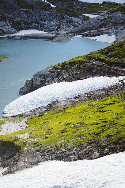 Glaciated mountain and glacial lagoon