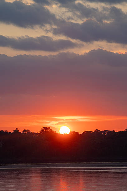istock Red Tropical Sunset Behind Jungle Trees 2248736673