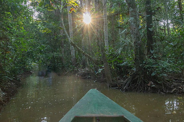 istock Canoe Pointing Toward Jungle Lake Horizon 2248736765