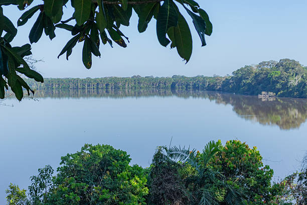 istock Scenic View of Calm Blue Lake 2248736810